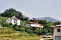 _MG_0449