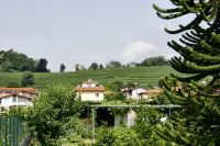 _MG_0463