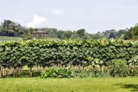 _MG_0464